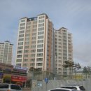 서구-01-79 네이버블로그