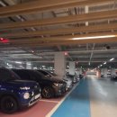 누아(nuah) 이미지