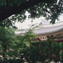 띵스씨에스엠에프