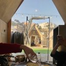 포레스트가든 이미지