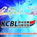 앵무세상 이미지