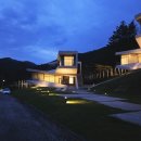 홍천 풀빌라 유리트리트 포레스트룸 온수풀까지 내돈내산후기