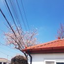 덕천리삼거리민박