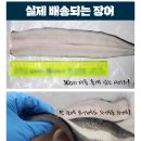 미락정장어 이미지