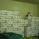 새재민박 이미지