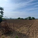 동일리-7 이미지