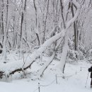 겨울나그네 이미지