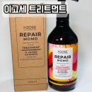 주식회사 프리웍스 | 모발 단백질 케어 트리트먼트 추천, 이고세 트리트먼트 사용후기!