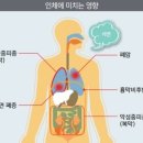 SH TECH 이미지