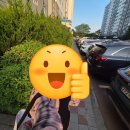 컴백 | 제베원 컴백프리미어 후기