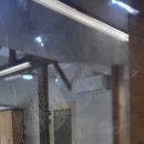 테바스테이 이미지