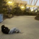 대경수지 | 대유잼도시 대경정복단