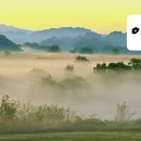 사회복지현장실습 티스토리