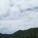 단양패러글라이딩 이미지