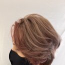 데이지케어 이미지