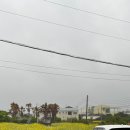 두스테이 이미지