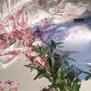게으름의 낭만 이미지