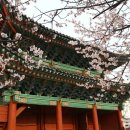연화2경로당 이미지
