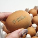 다이어터 간식 맥반석 계란 GB 오메가 구운란