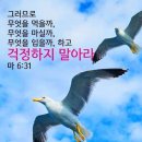 잭슨빌 이미지