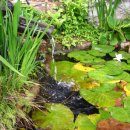 우남농장 이미지