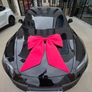 율하서로 | 대구 테슬라 모델3 하이랜드 신차패키지 썬팅 비교 후 시공 후기