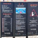 청춘-숲속의 섬,  | [해운대] 부산의 대표 여름휴가지 해운대, 당일치기로 즐기기!!