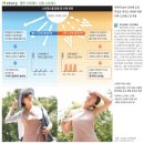 치매예방기체조 이미지