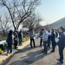 해맞이행사장 이미지