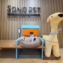 소노펫 보딩 이미지