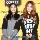 커피보라 이미지