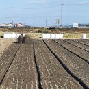 부안군농업기술센터 이미지