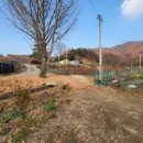 강화에이스공인중개사사무소 이미지