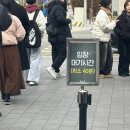 주랑케이크 | [대전] 성심당DCC점 말차시루 딸기시루 웨이팅 후기