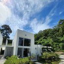 보나의언덕 이미지