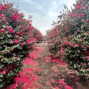 서광리-16 이미지