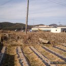 명계1리 이미지