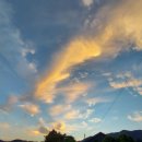 현재농장 이미지