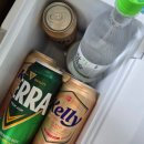 초리 포레스트 이미지