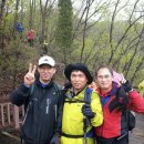 천장호 출렁다리 이미지