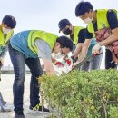 청년, Forest 이미지