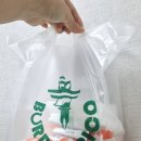 부리또리꼬 이미지