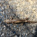 방초농장 이미지