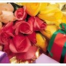 향기고운 이미지