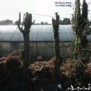 회수동-2 네이버블로그