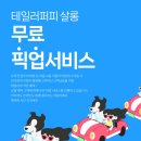 퍼피살롱 이미지