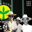 비치다 Daum카페