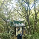 청계 버스터미널(정류장) | 전남 구례 가볼만한곳 쌍싼재 카페 아름다운 한옥 정원 입장료 정보 후기