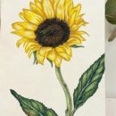 우리홈스쿨 이미지