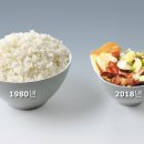 밥심 조선일보